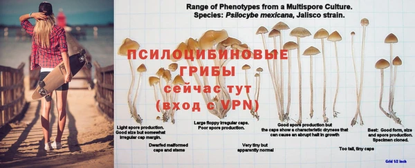 молекула духа Беломорск